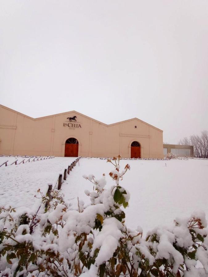Posada La Celia Эухенио-Бустос Экстерьер фото