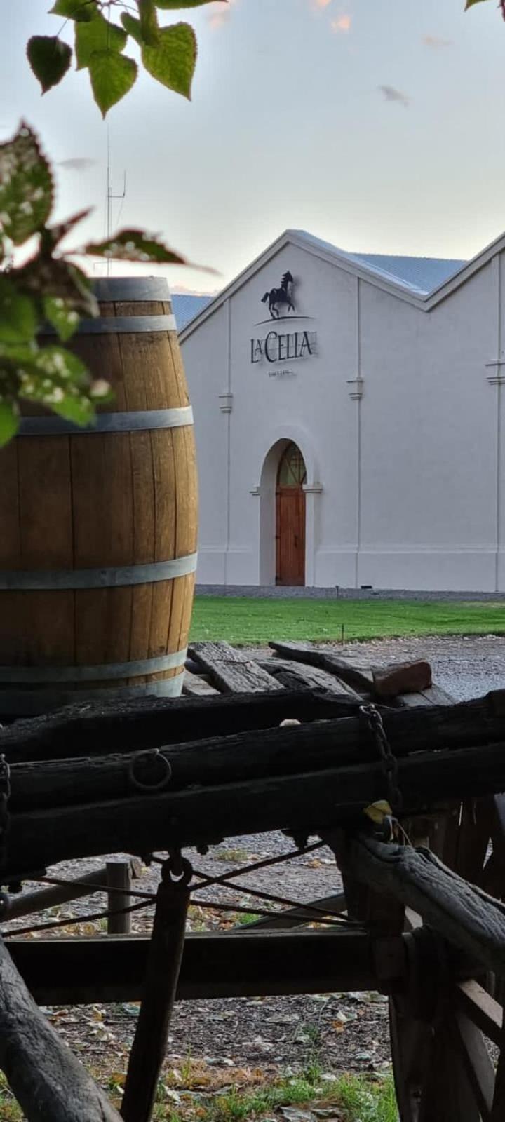 Posada La Celia Эухенио-Бустос Экстерьер фото