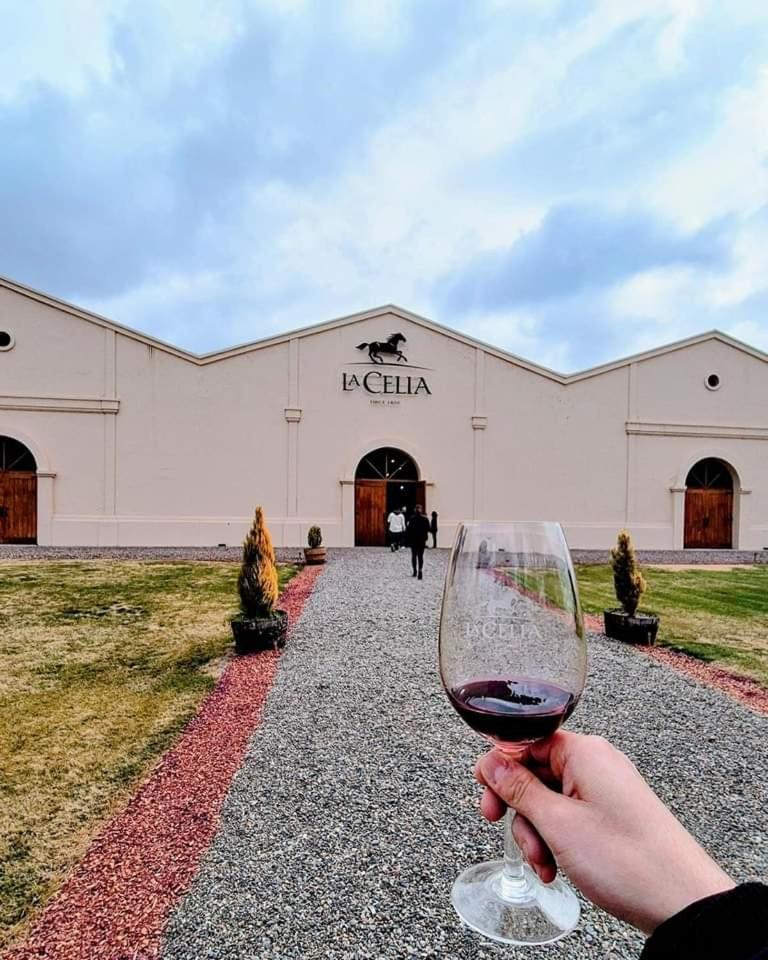 Posada La Celia Эухенио-Бустос Экстерьер фото
